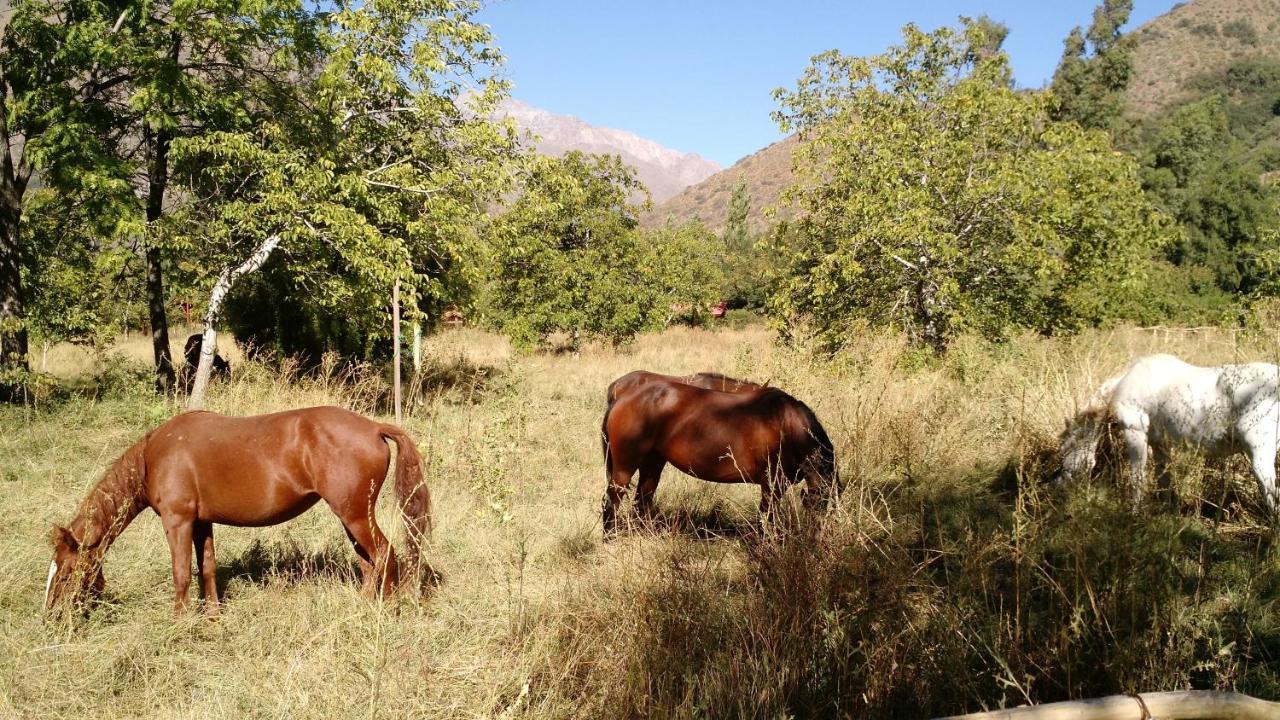 Cascada Lodge Cajon Del Maipo San José de Maipo エクステリア 写真